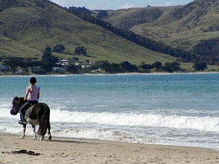 apollo bay